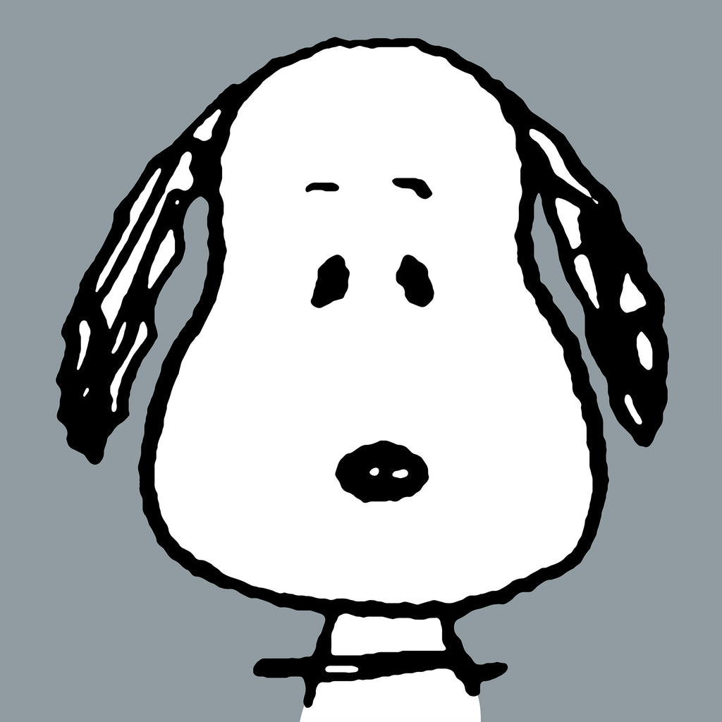 Snoopy Lesekissen mit Rückenstütze - Großer Snoopy 03