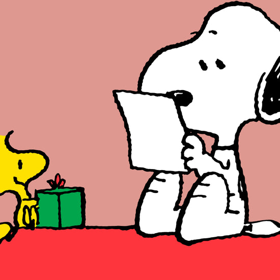 Snoopy Lesekissen mit Rückenstütze - Snoopy & Woodstock 03