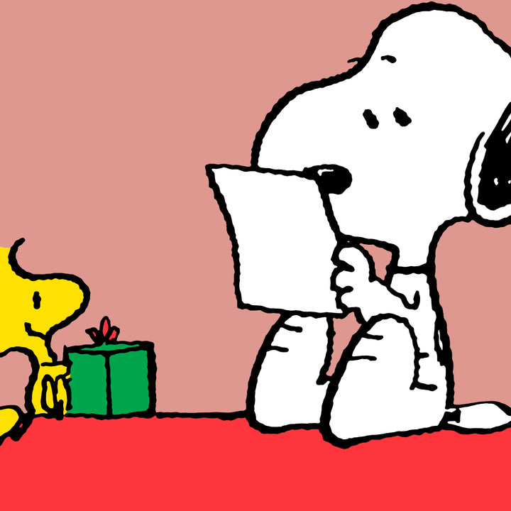 Snoopy Lesekissen mit Rückenstütze - Snoopy & Woodstock 03