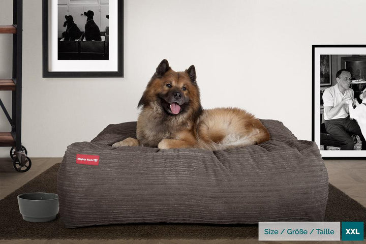 MB Crash Pad Dog Bed - Cord Graphite - Large