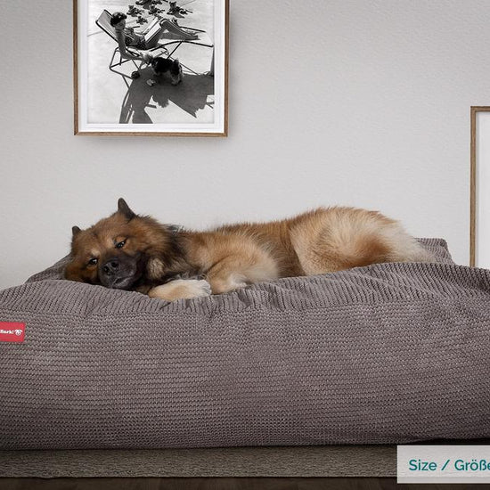 Mighty Bark Die Mega Matratze - Riesen Hundebett - Pom-Pom Anthrazit
