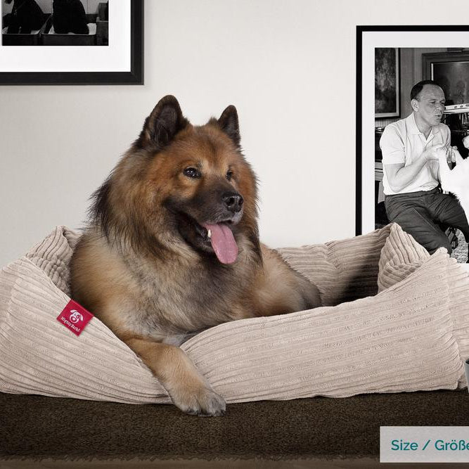 "Das Nest Von Mighty-Bark" - Orthopädische Hundekörbchen, Hundebett, Hundesofa, Klein - XXL - Cord Nerzfarben