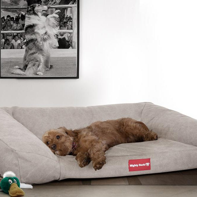"Das Sofa Von Mighty-Bark" - Orthopädische Hundesofa, Hundebett,  Klein - XXL - Stonewashed-stoff Grau